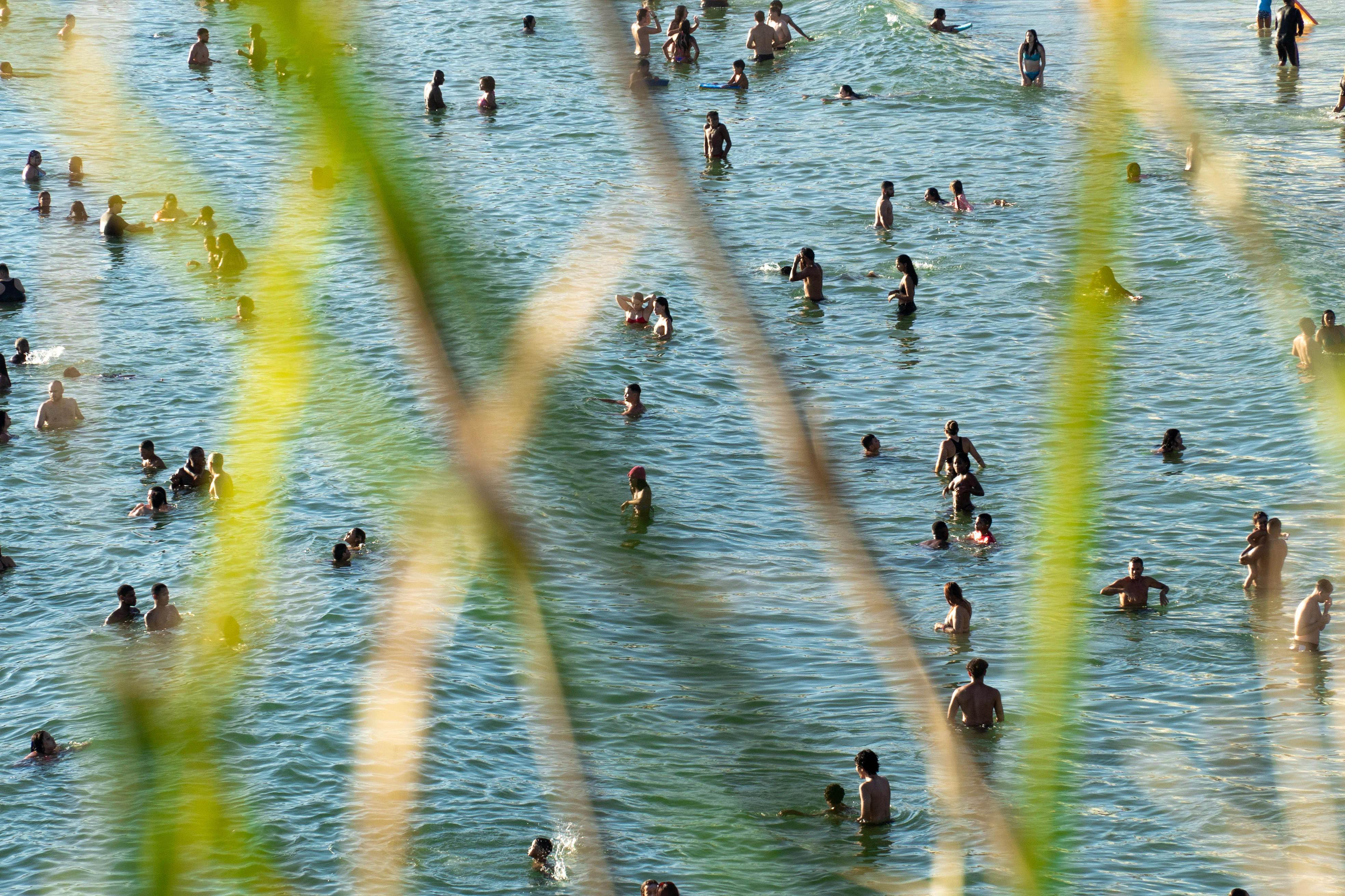 Swimmers Through Reeds, photograph by Luana Tabbara